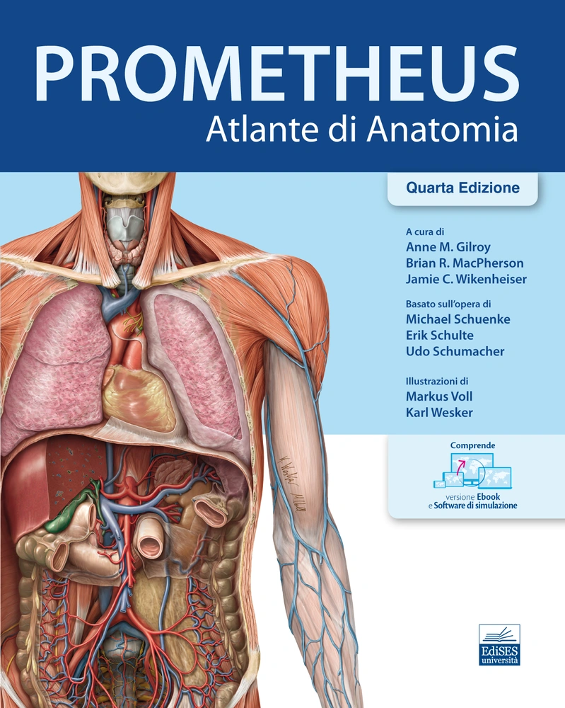 [EBOOK] PROMETHEUS - Atlante di Anatomia